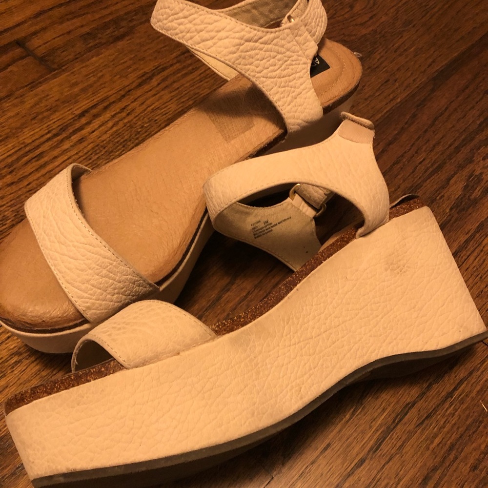 Adam Tucker Baci platform